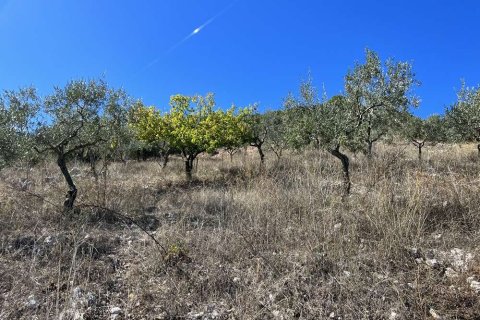 Land en Zakynthos, Greece No. 28065 10