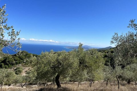 Land en Zakynthos, Greece No. 28065 14