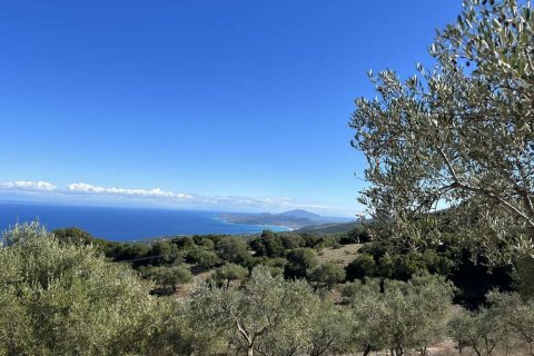 Land en Zakynthos, Greece No. 28065 1