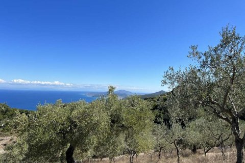 Land en Zakynthos, Greece No. 28065 15