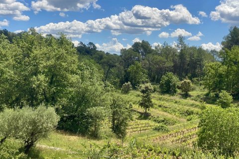 244m² House in Cotignac, France No. 68111 2