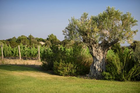 House in Faugeres, France No. 68105 2