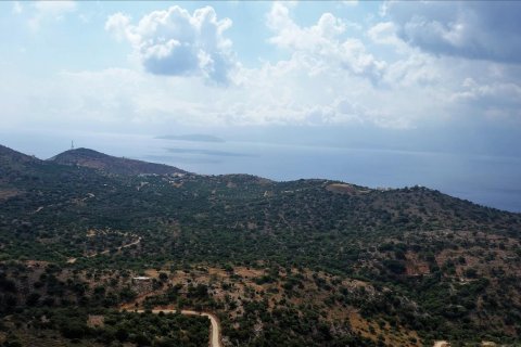 14240m² Land en Heraklion, Greece No. 58753 2