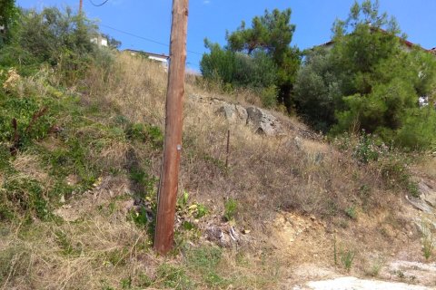 380m² Land in Chalkidiki, Greece No. 58536 4