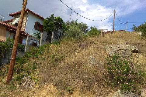 380m² Land in Chalkidiki, Greece No. 58536 2