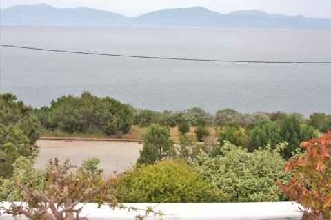 5 dormitorios Villa en Central Greece, Greece No. 49341 15