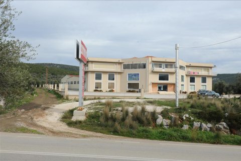 4665m² Negocio en Argolis, Greece No. 57740 1