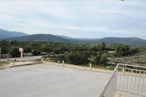 4665m² Affaires à Argolis, Greece No. 57740 5