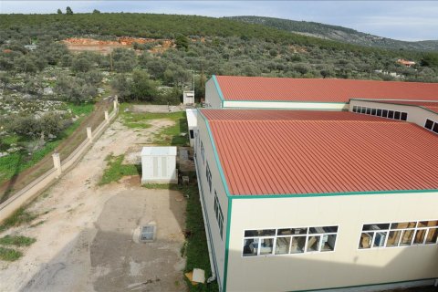 4665m² Affaires à Argolis, Greece No. 57740 3