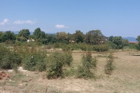 12000m² Land à Chalkidiki, Greece No. 57744 4