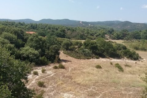 12000m² Land in Chalkidiki, Greece No. 57744 5