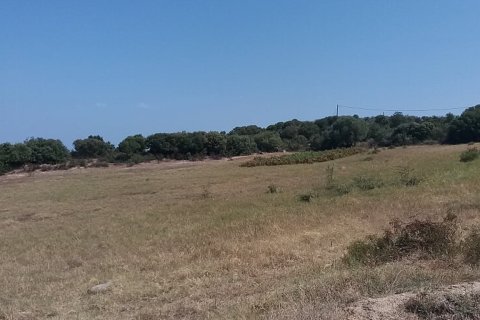 12000m² Land in Chalkidiki, Greece No. 57744 3