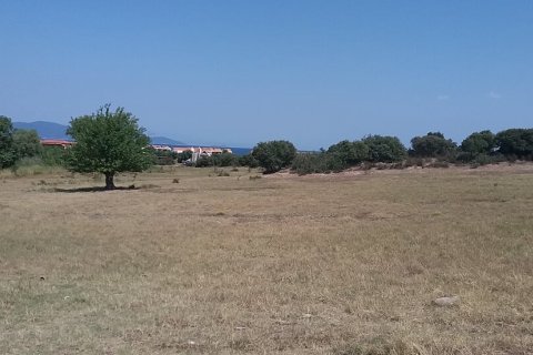 12000m² Land in Chalkidiki, Greece No. 57744 2