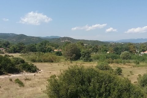 12000m² Land en Chalkidiki, Greece No. 57744 6