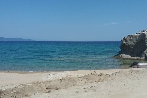 12000m² Land in Chalkidiki, Greece No. 57744 12