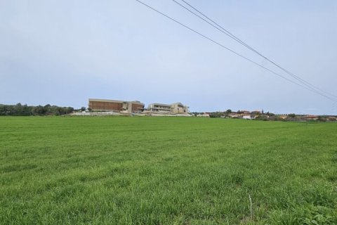 55000m² Land en Chalkidiki, Greece No. 57742 5