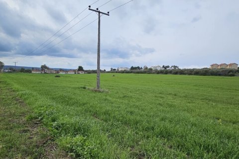 55000m² Land à Chalkidiki, Greece No. 57742 2