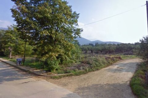 17000m² Land in Vasilika, Greece No. 57587 1