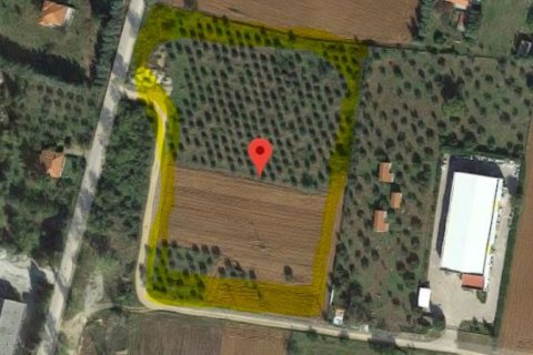 17000m² Land in Vasilika, Greece No. 57587 2