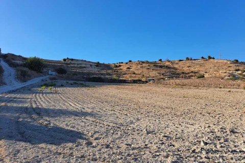 18395m² Land in Pissouri, Cyprus No. 64395 2