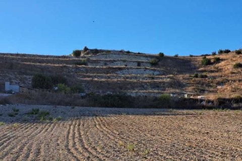 18395m² Land in Pissouri, Cyprus No. 64395 3