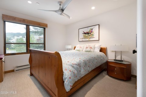 5 chambres Copropriété  à Vail, USA No. 62084 11