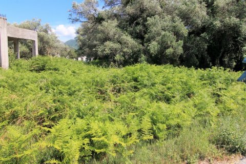 2000m² Land in Corfu, Greece No. 56307 2