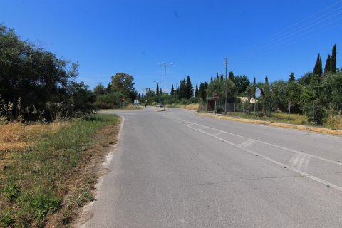 2000m² Land in Corfu, Greece No. 56307 6