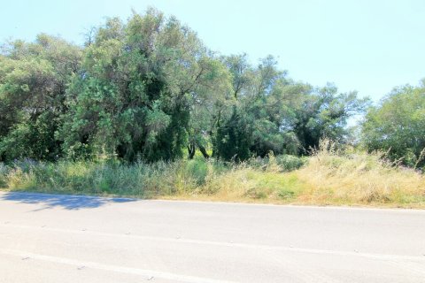 2000m² Land in Corfu, Greece No. 56307 8