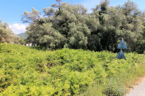 2000m² Land in Corfu, Greece No. 56307 1