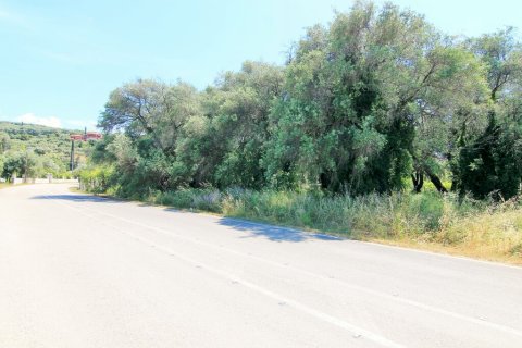 2000m² Land en Corfu, Greece No. 56307 7