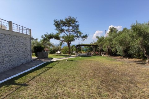 2 chambres House à Chalkidiki, Greece No. 56469 9