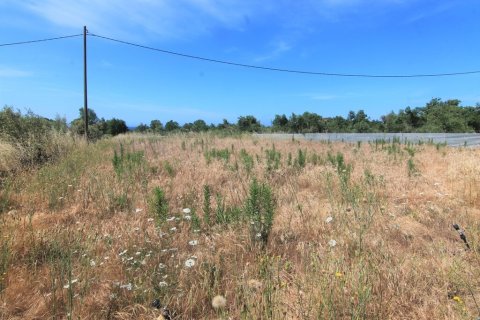 10000m² Land en Corfu, Greece No. 56308 1