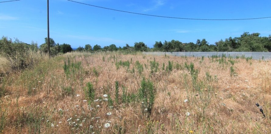 10000m² Land in Corfu, Greece No. 56308