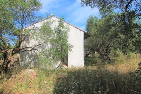 10000m² Land en Corfu, Greece No. 56308 3