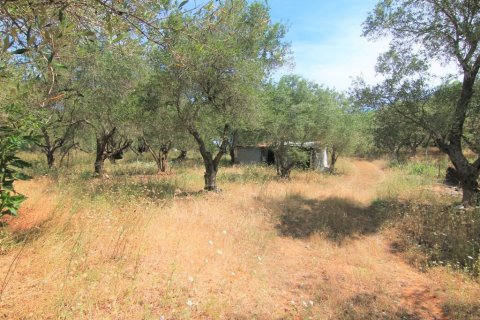 10000m² Land in Corfu, Greece No. 56308 5