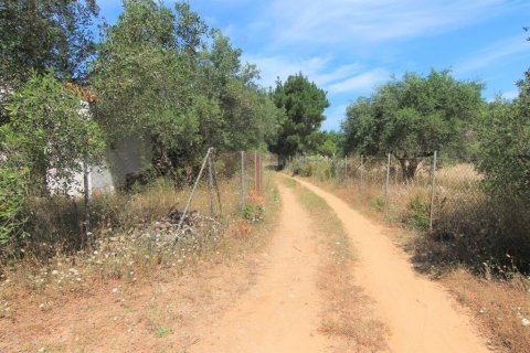 10000m² Land in Corfu, Greece No. 56308 7