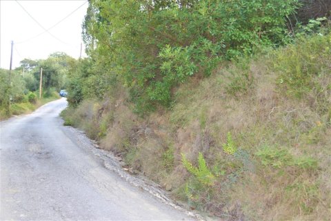 5800m² Land en Corfu, Greece No. 56466 8