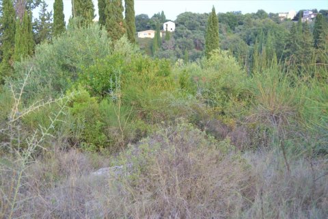 5800m² Land in Corfu, Greece No. 56466 7