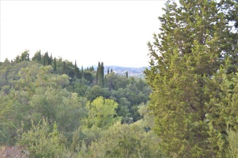 5800m² Land en Corfu, Greece No. 56466 4