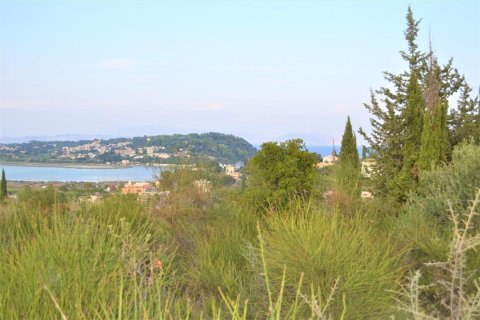 5800m² Land en Corfu, Greece No. 56466 5