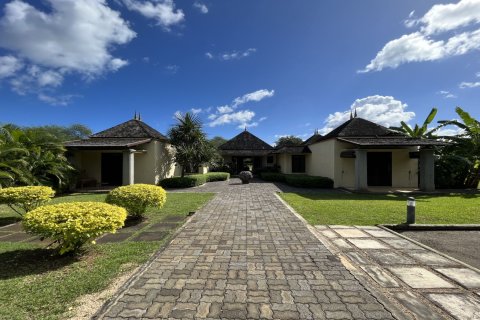 5 bedrooms Villa in Tamarin, Mauritius No. 60841 13