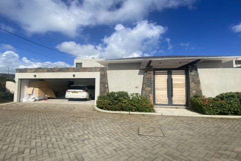 4 dormitorios Villa en Grand Baie, Mauritius No. 60840 12