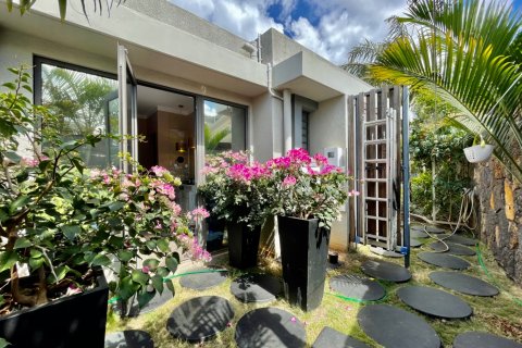 3 bedrooms Villa in Balaclava, Mauritius No. 60852 13