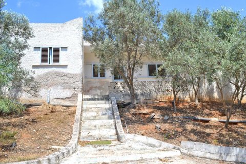 400m² Negocio en Kranidi, Greece No. 59644 5