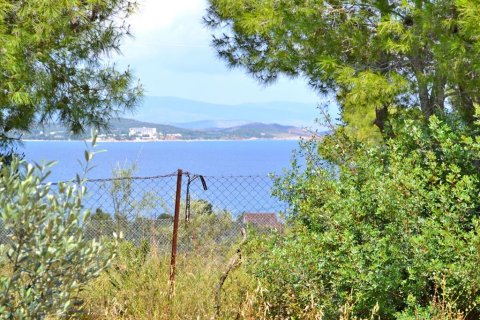 400m² Business in Kranidi, Greece No. 59644 4