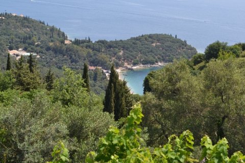 90m² House en Corfu, Greece No. 59643 20