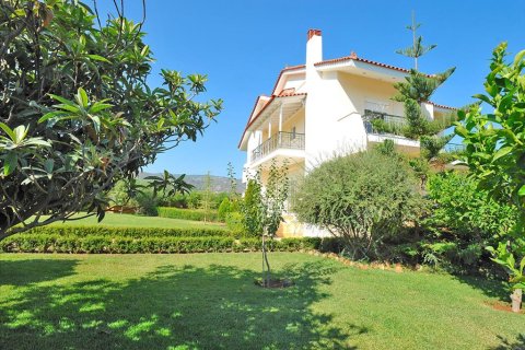 5 dormitorios Villa en Xylokastro, Greece No. 59638 3