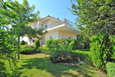 5 dormitorios Villa en Xylokastro, Greece No. 59638 7