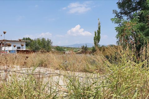 Land in Chalkidiki, Greece No. 56500 2